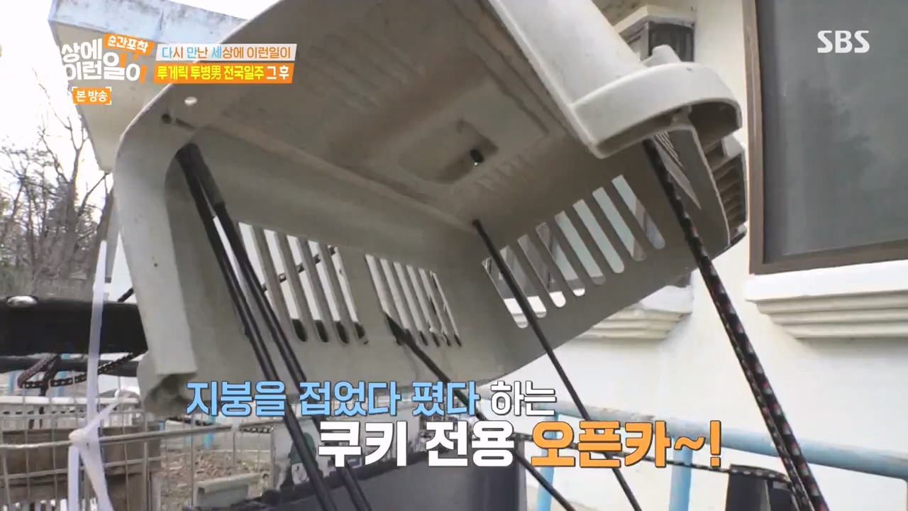 순간포착 세상에 이런일이.E1272.240407p-NEXT.mp4_20240407_175009.982.jpg