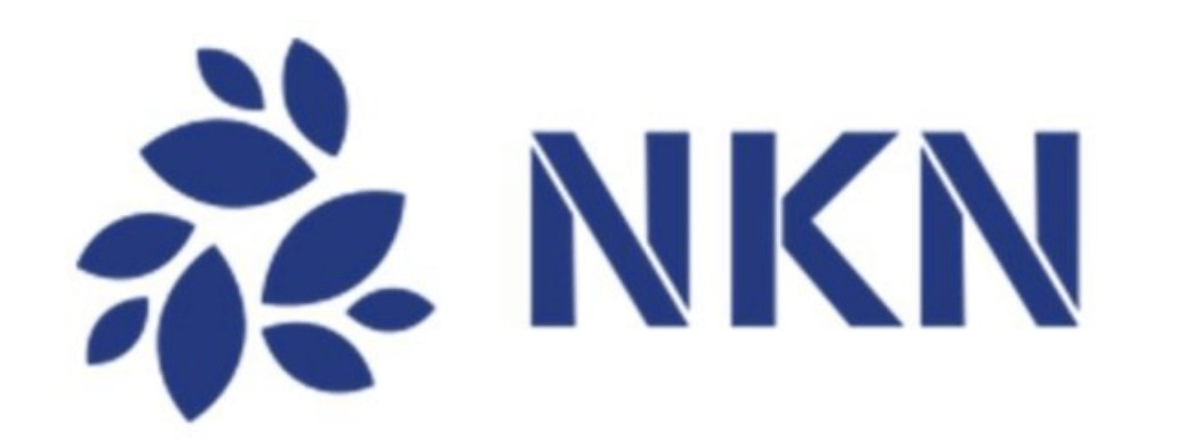  엔케이엔(NKN) 코인 전망과 가격 전망