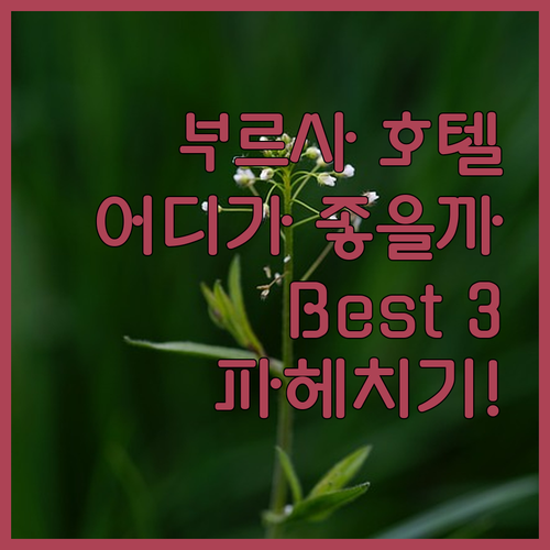 부르사 호텔 어디가 좋을까? Best