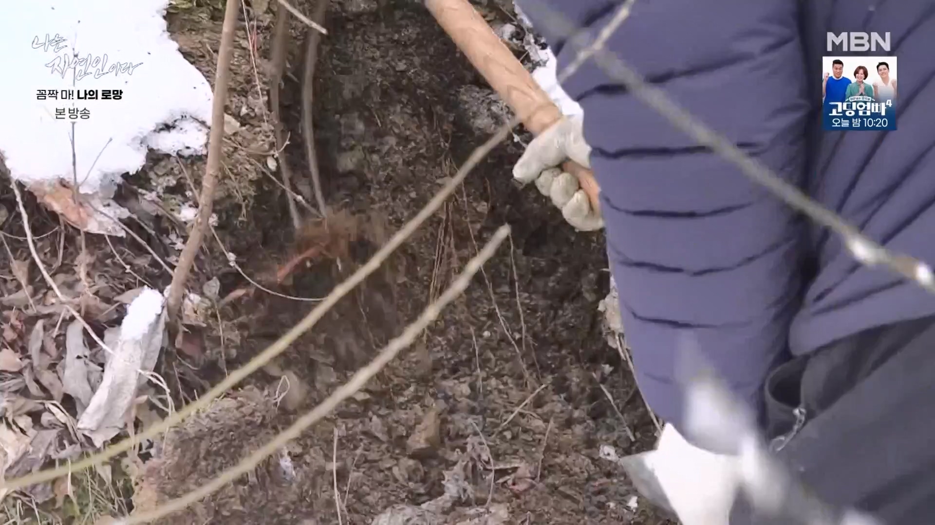 나는 자연인이다.E598.240320p-NEXT.mp4_20240321_202625.227.jpg