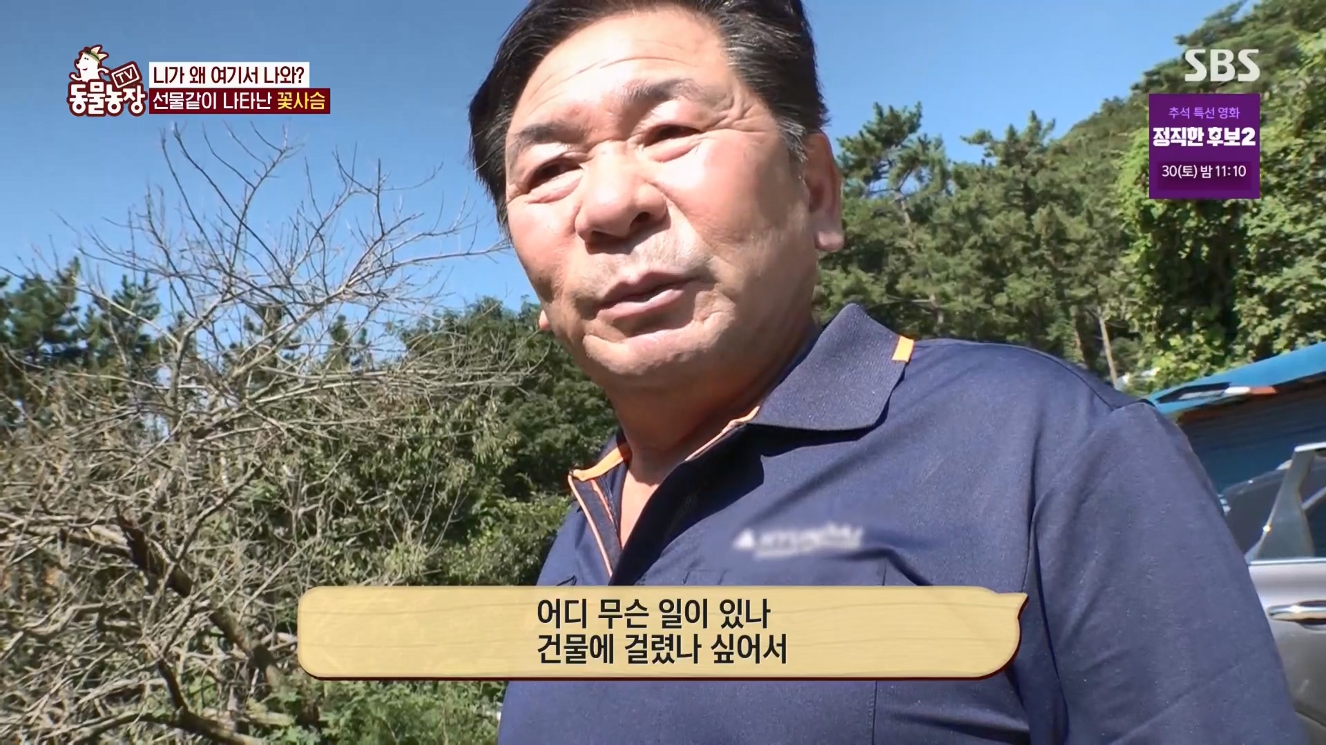 TV 동물농장.E1139.230924p.H264-F1RST.mp4_20230924_171723.838.jpg