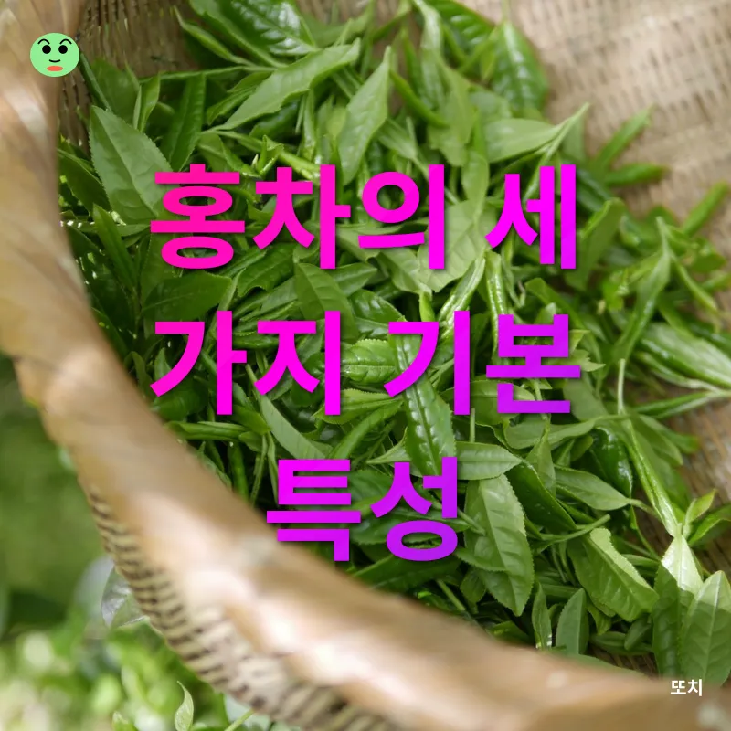 블렌딩 이미지