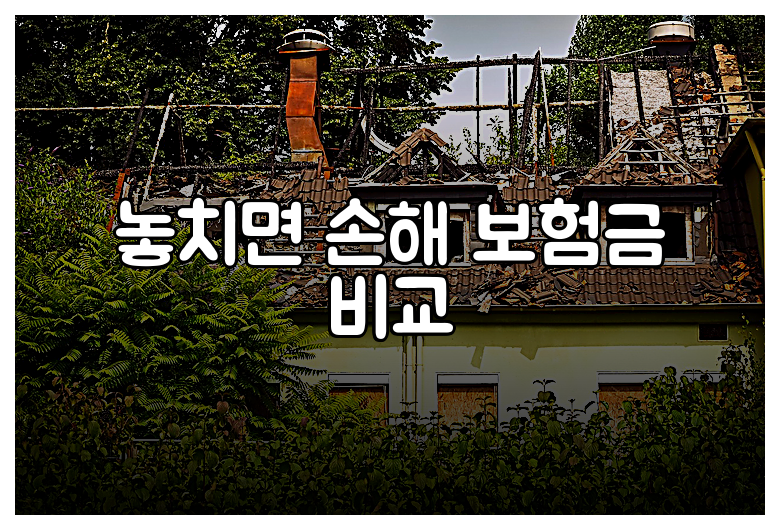 놓치면 손해 보험금 비교