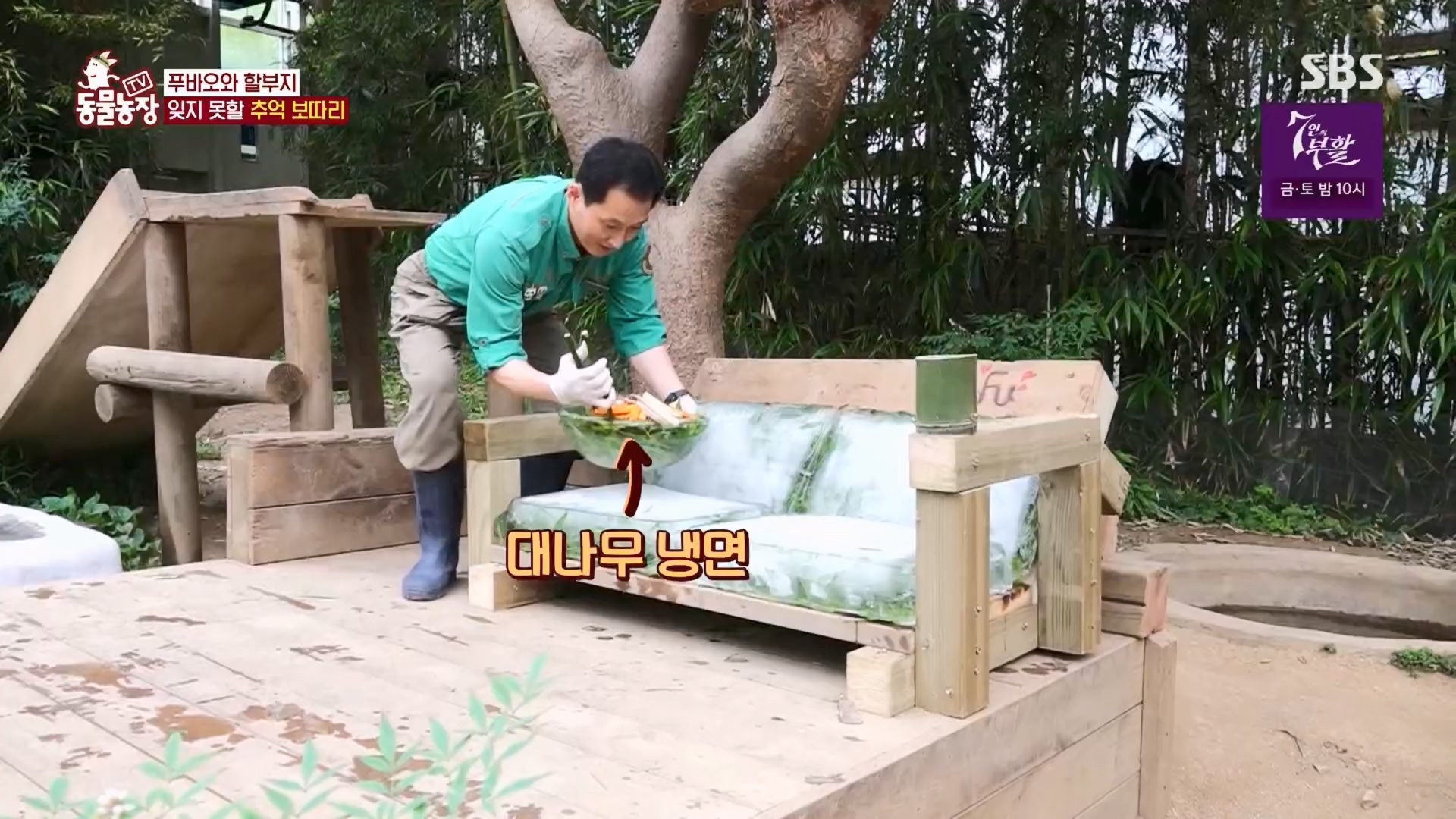 TV 동물농장.E1165.240331p.H264-F1RST.mp4_20240331_144357.497.jpg