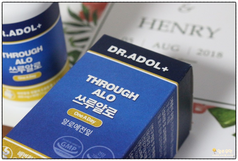 식용알로에 8