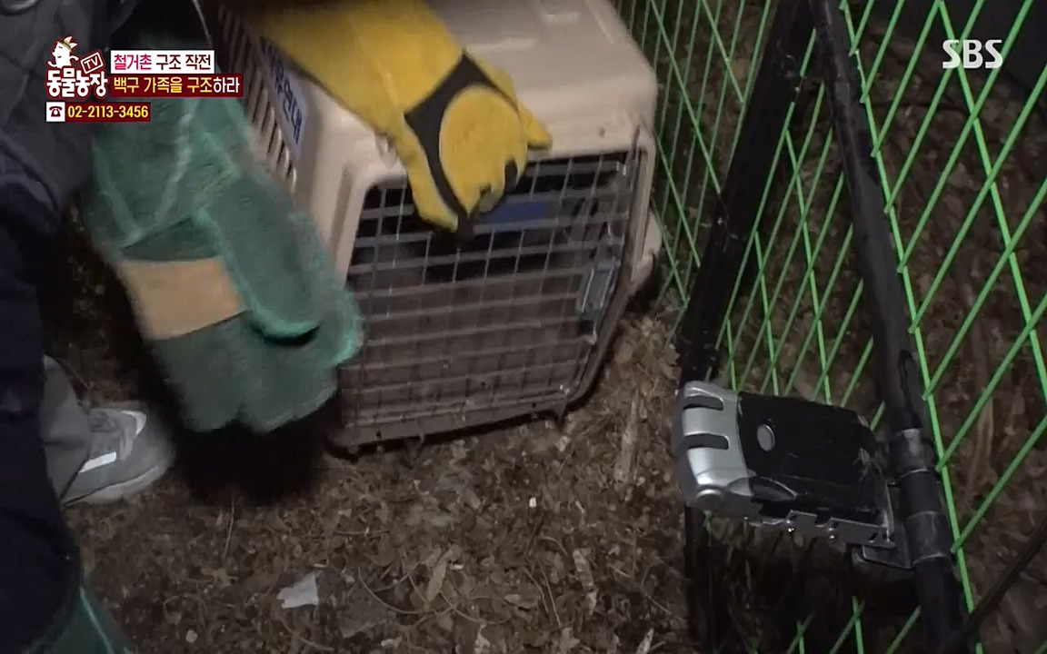 TV 동물농장.E1065.220418p-NEXT.mp4_20220417_181320.493.jpg