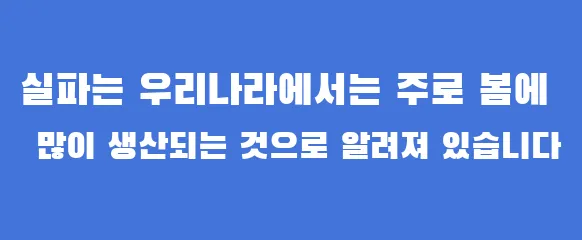 실파는 우리나라에서는 주로 봄에 많이 생산되는 것으로 알려져 있습니다