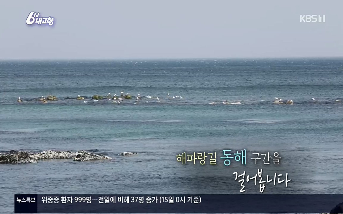 6시 내고향.E7512.220416p.H264-F1RST.mp4_20220502_191855.570.jpg
