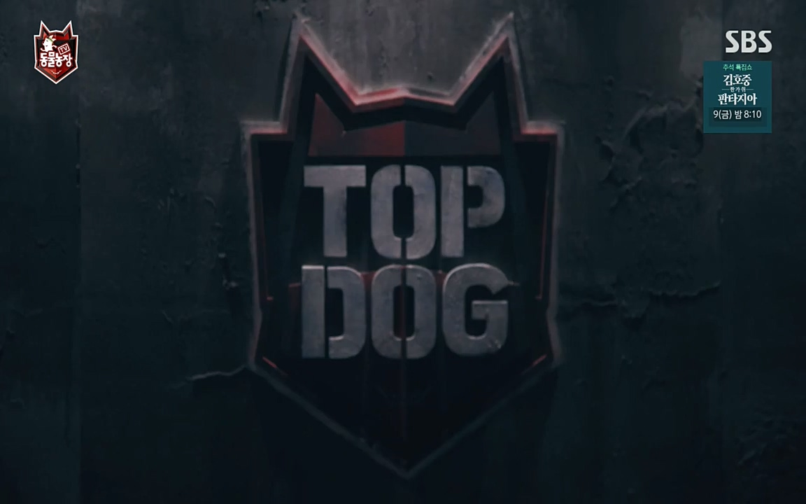 TV 동물농장.E1085.220905p-NEXT.mp4_20220904_173535.868.jpg