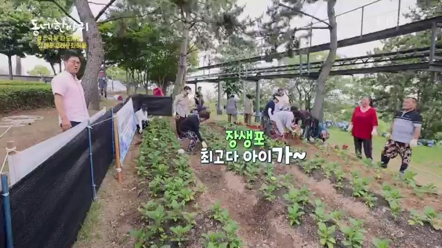 [228회] 동네 한 바퀴 - KBS.ts_20230803_205653.767.jpg