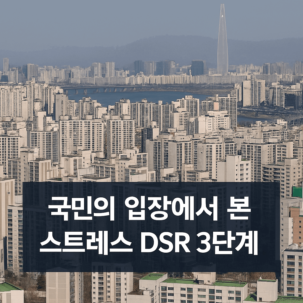국민이 바라본 스트레스 DSR 3단계