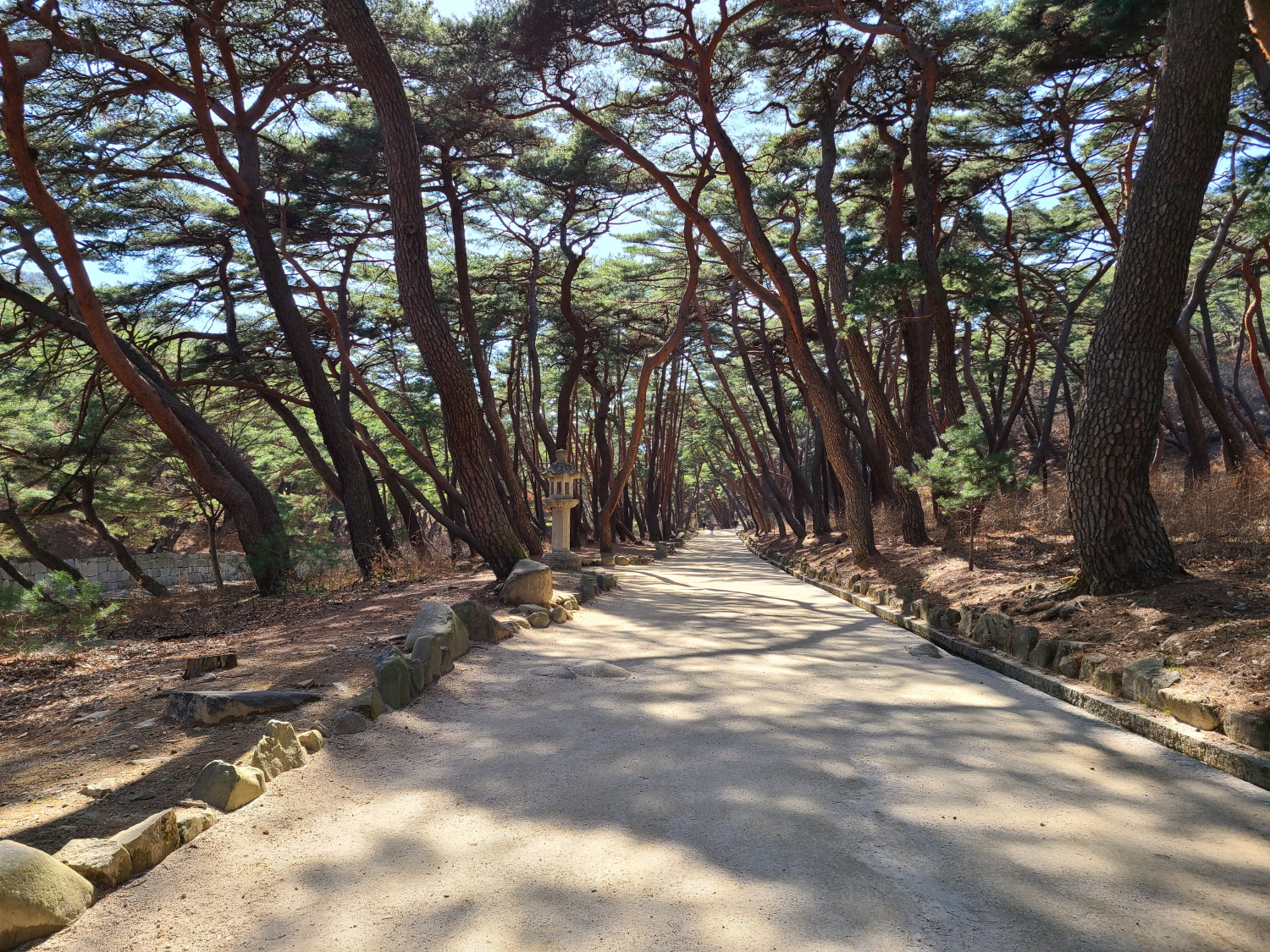  양산 통도사의 봄