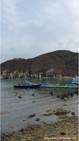 백령도 배편 요금 시간표 예매 요금_17