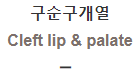  구순구개열 [Cleft lip & palate]
