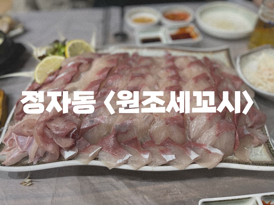 원조세꼬시 이미지