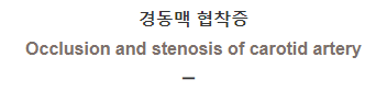  경동맥 협착증 [Occlusion and stenosis of carotid artery]