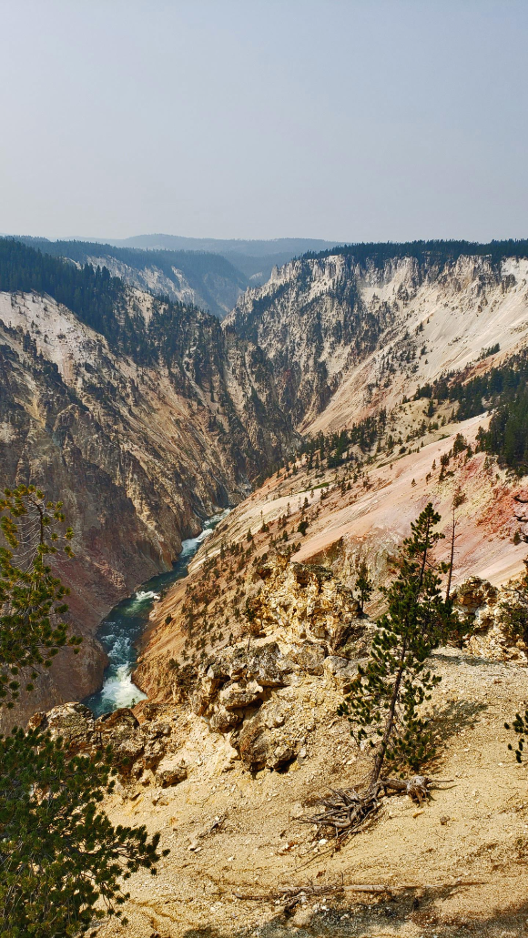 Grand Canyon Of The Yellowstone
