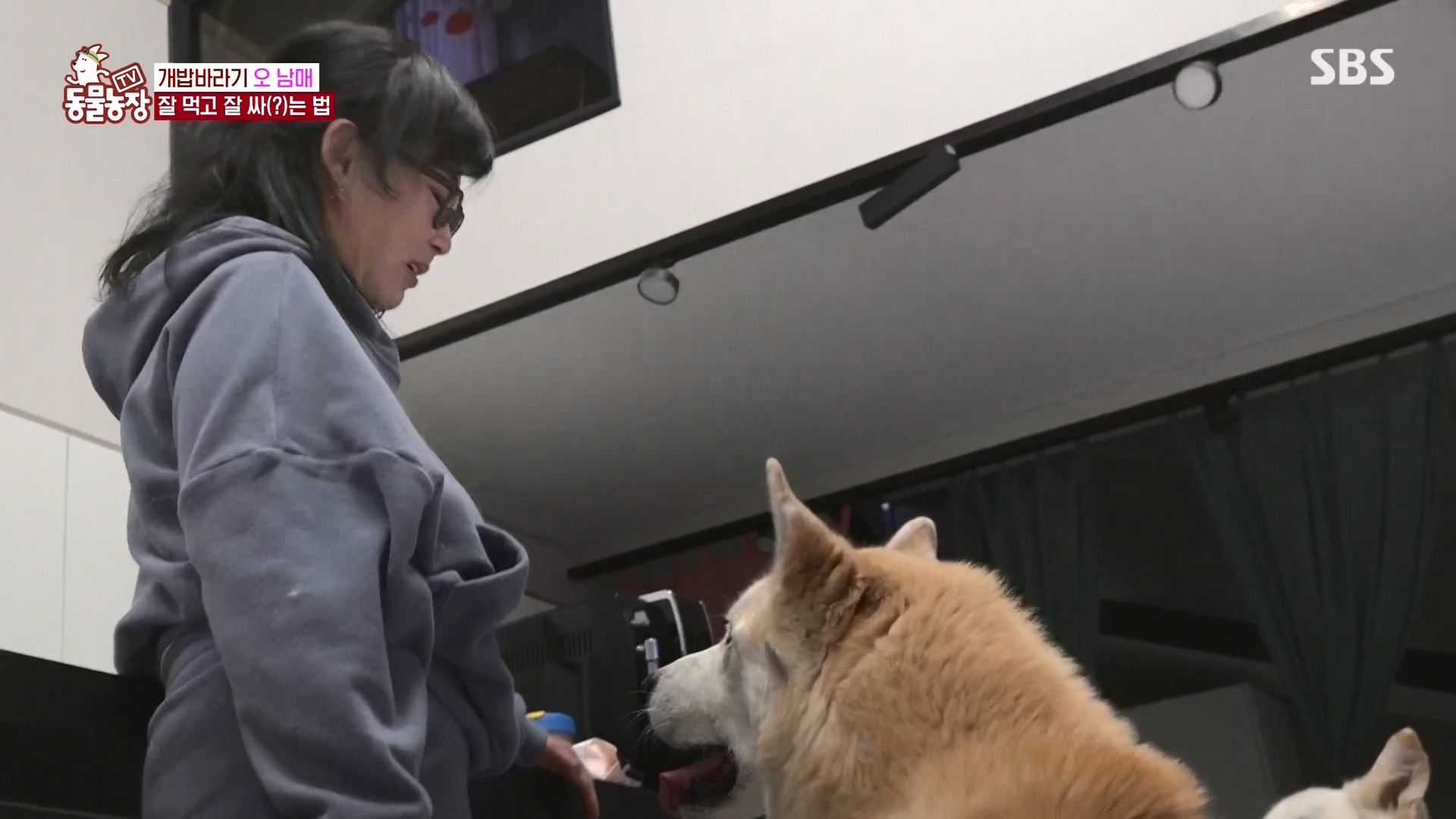 TV 동물농장.E1166.240407p-NEXT.mp4_20240407_164456.648.jpg