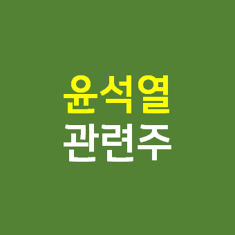  윤석열 관련주 - 덕성 서연 주가 주식 전망