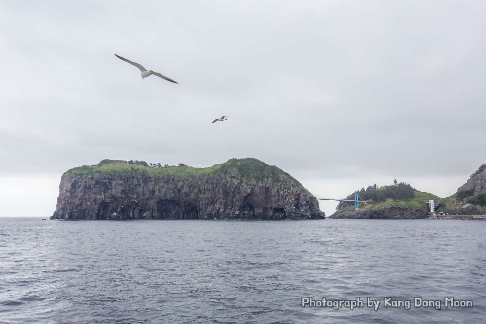 울릉도 여행 가볼만한곳 유람선 배 타기 국내 바다 추천 경북 동해안 2박3일 5