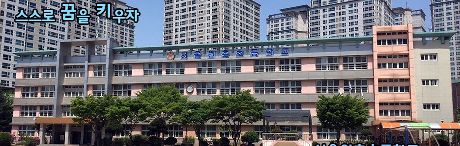 서울 초등학교 순위
