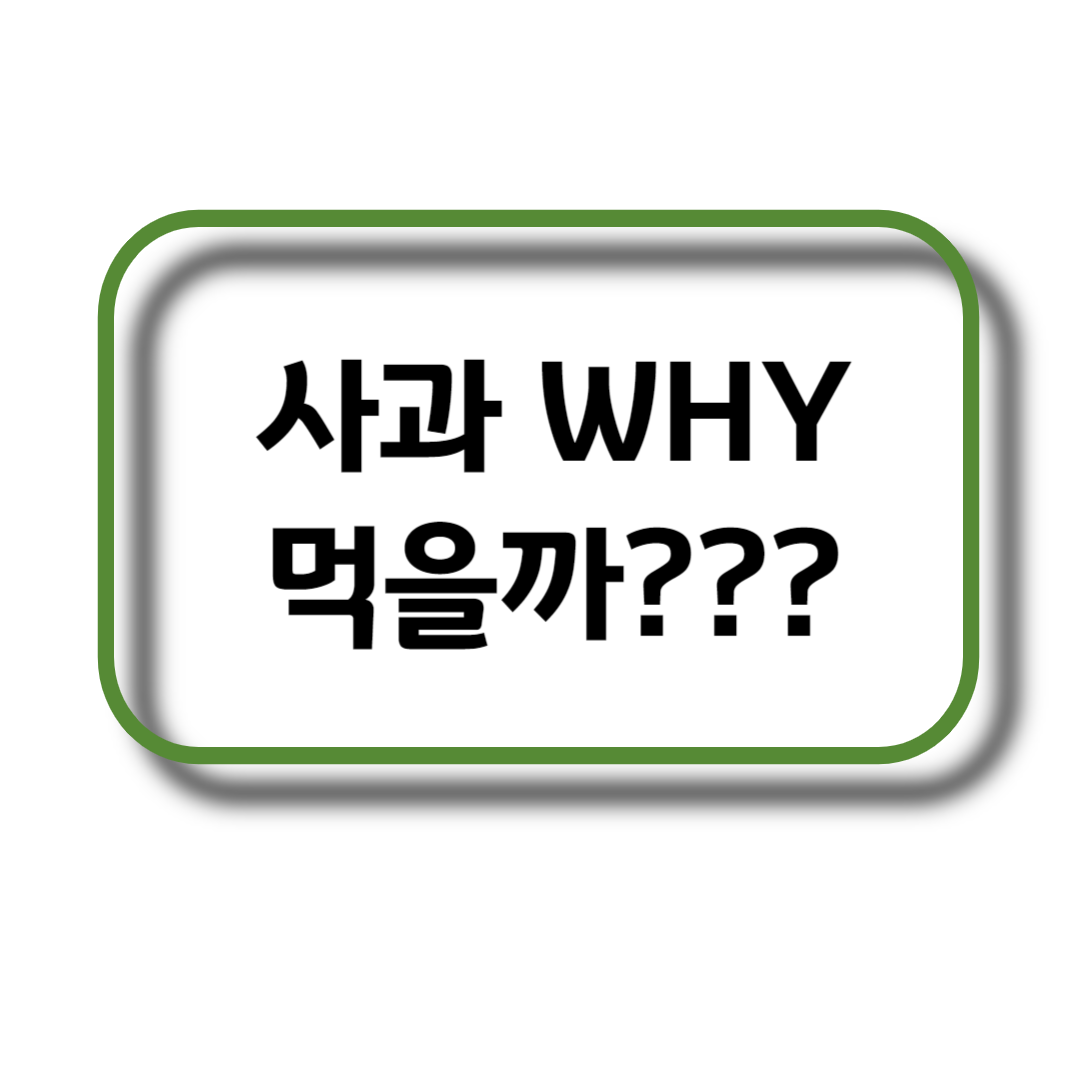사과를 먹는 이유&#44; 효능&#44; 사과와 혈당 과의 관계&#44; 사과와 궁합이 맞는 과일 및 채소들&#44; GI 지수