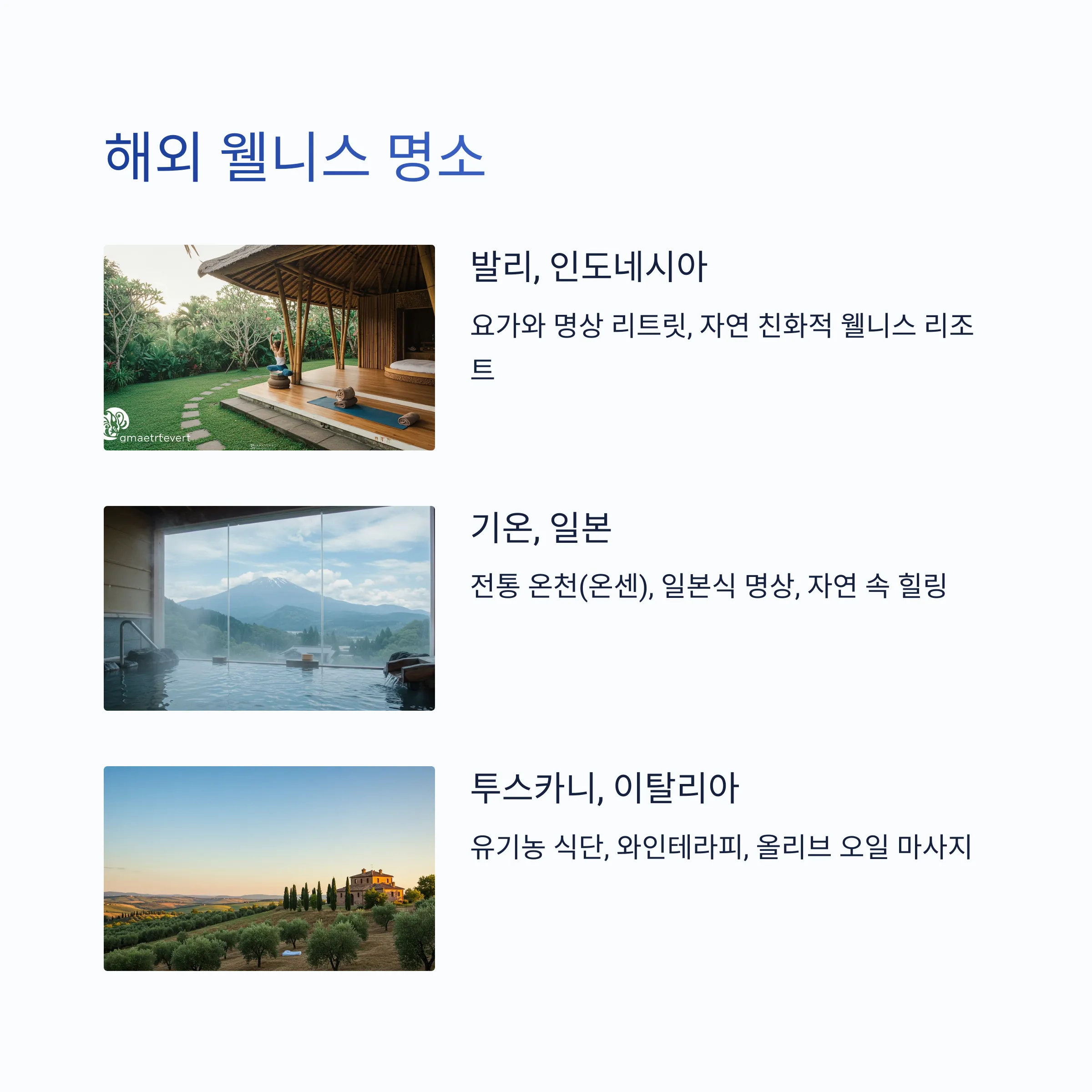웰니스 관광