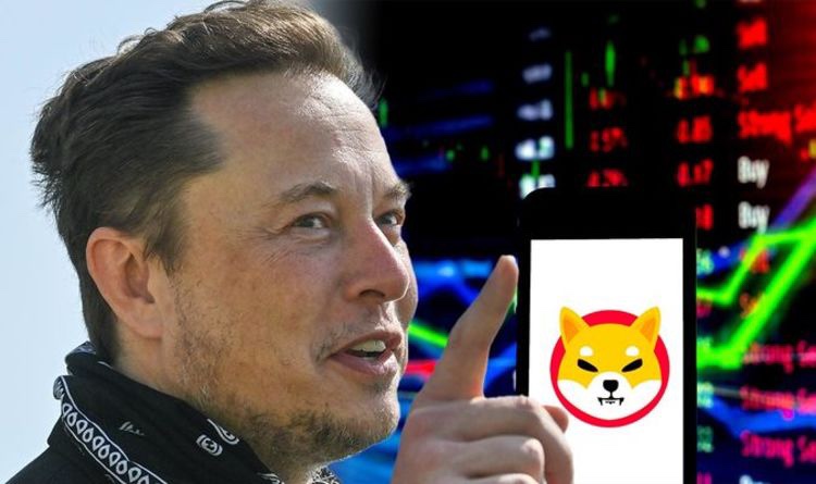 지원 시바이누코인 전망 시황!!! 시바이누 코인 결제 10