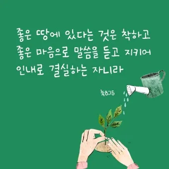 매일 성경 묵상 누가복음 8장 씨뿌리는 자_8