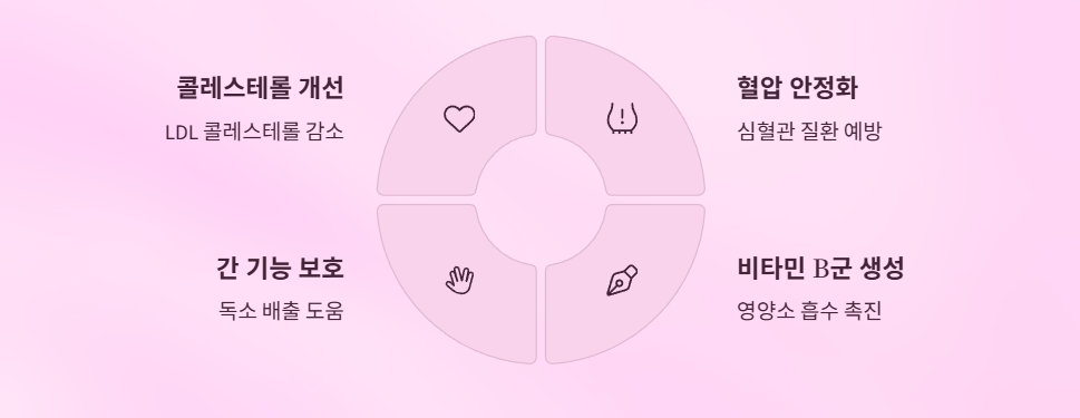 유산균효능