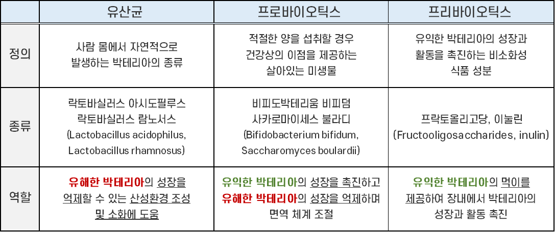 유산균VS프로바이오틱스VS프리바이오틱스