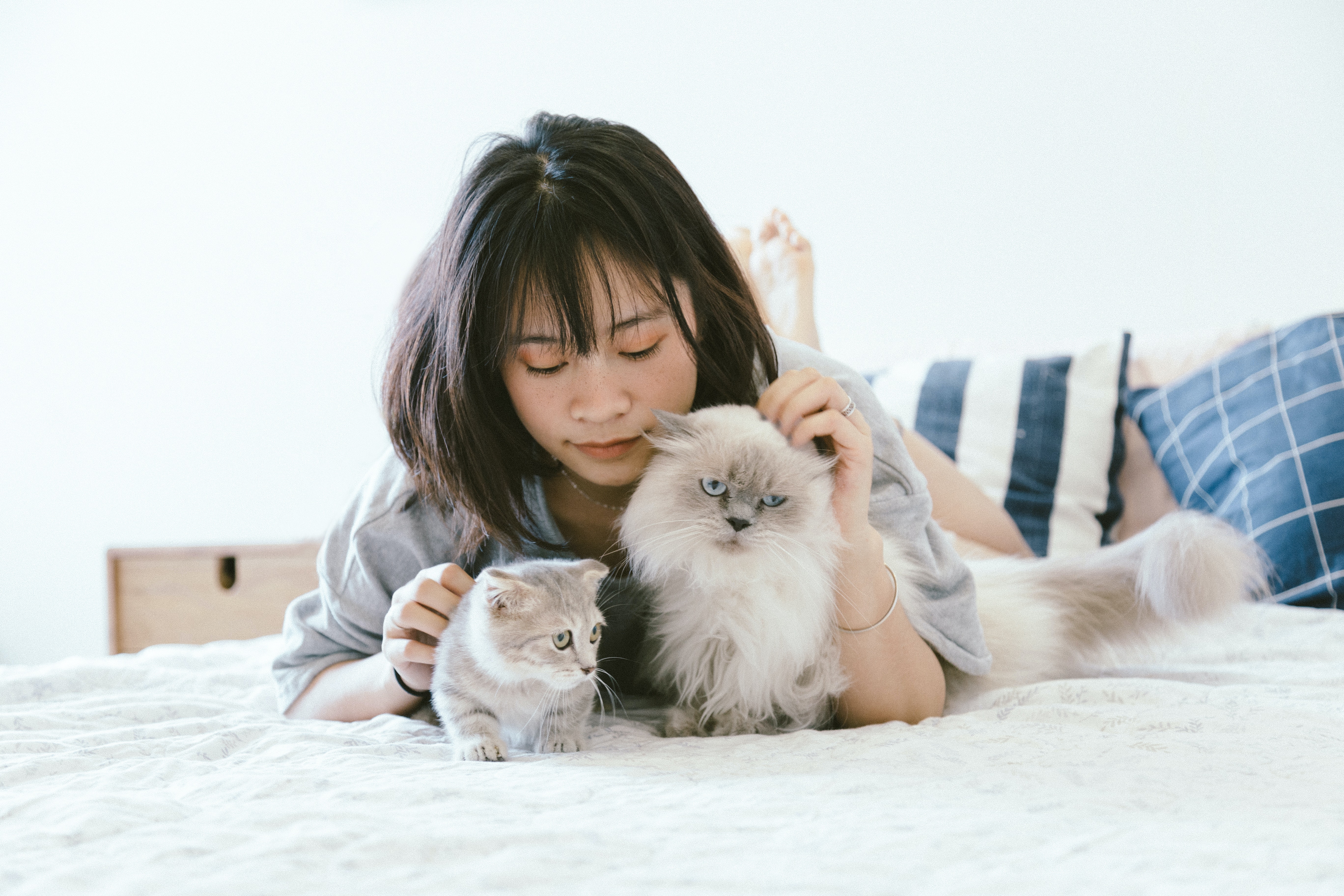 고양이 집사
