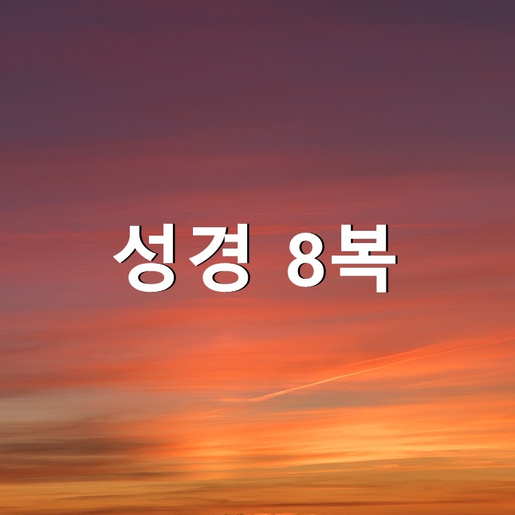  성경 8복 참된 그리스도인은 화평케합니다 (2부)