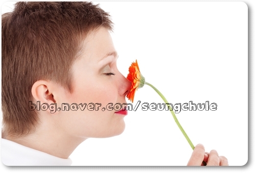  코 막혔을때 뚫는방법 해결방법