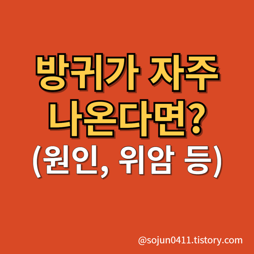 방귀가 자주 나오는 이유 썸네일