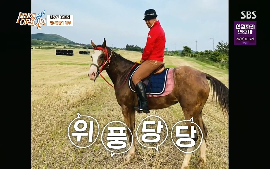 순간포착 세상에 이런일이.E1198.220920.H265p-BULDU.mp4_20220921_200824.457.jpg