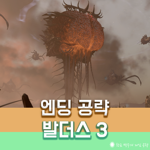 발더스3 엘더 브레인 마주하기