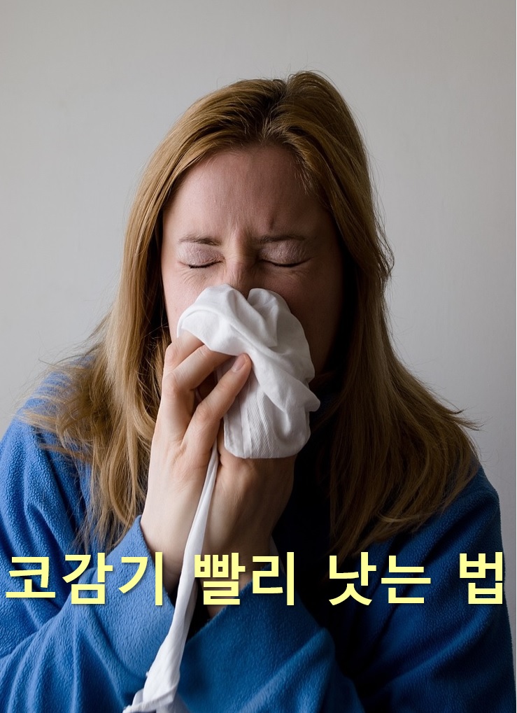  코감기 빨리 낫는 법과 코가 막힐 때 대처법