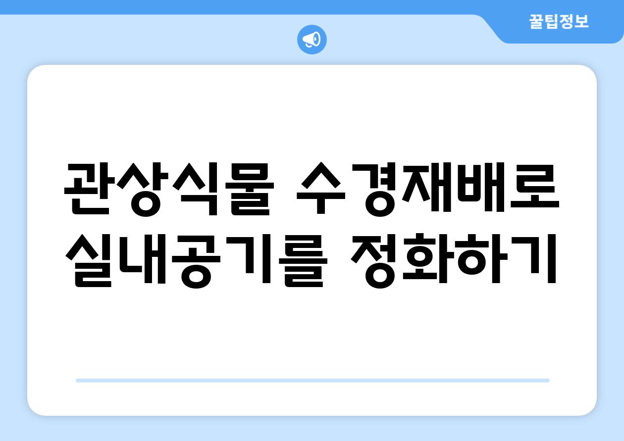 관상식물 수경재배로 실내공기를 정화하기