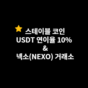 스테이블 코인 USDT 예치 10% 이자 + 넥소 NEXO 거래소 소개