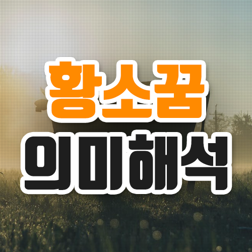  황소꿈 이런 뜻이 있는 줄은 몰랐네요