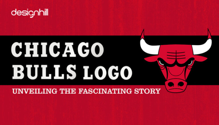 시카고 불스 Chicago Bulls