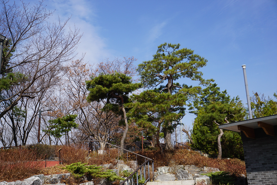 230314 동만봉 3 119