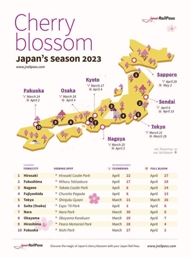 일본벚꽃개화시기