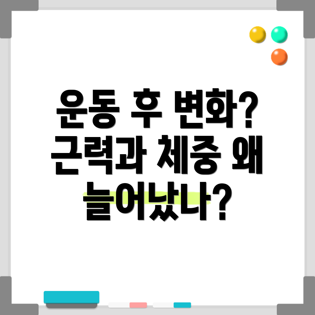 운동 후 체중 증가