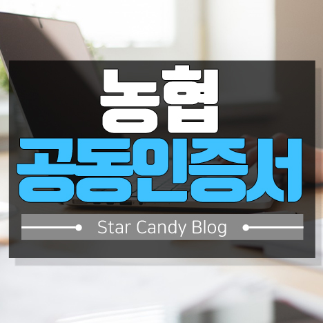 농협 공동인증서 발급