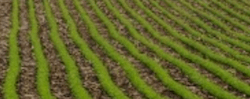 Tile 12