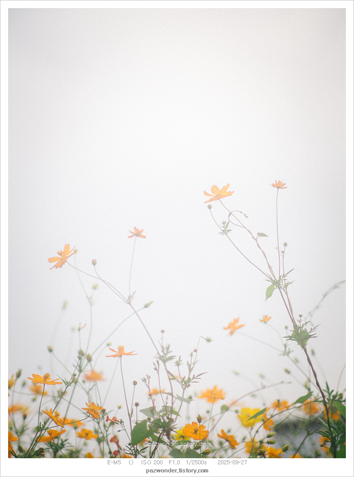 송현공원 이미지