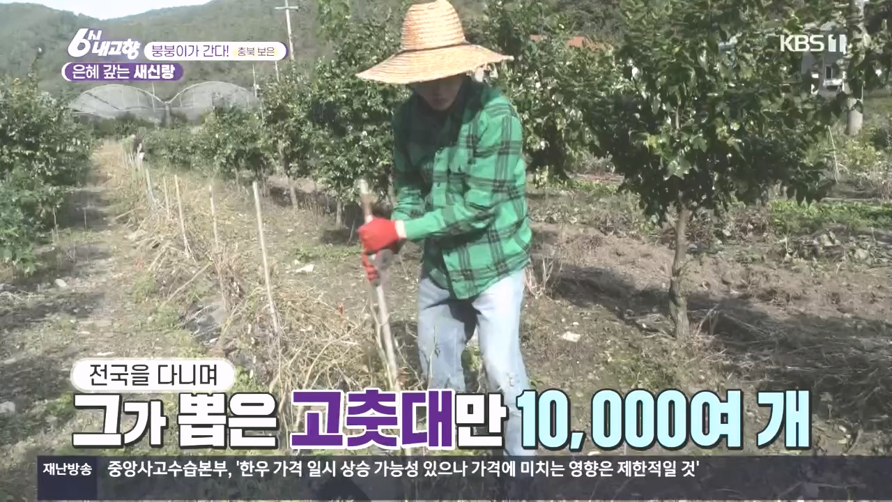 6시 내고향.E7896.231024p.H264-F1RST.mp4_20231024_204857.768.jpg