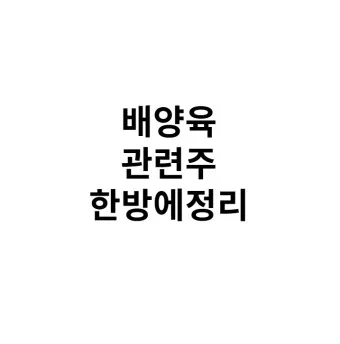 배양육 대장주 관련주 TOP5 총정리_2